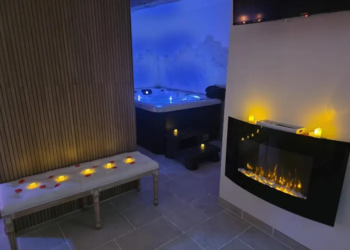 Privatif Pres De Jacuzzi Sauna * Provins